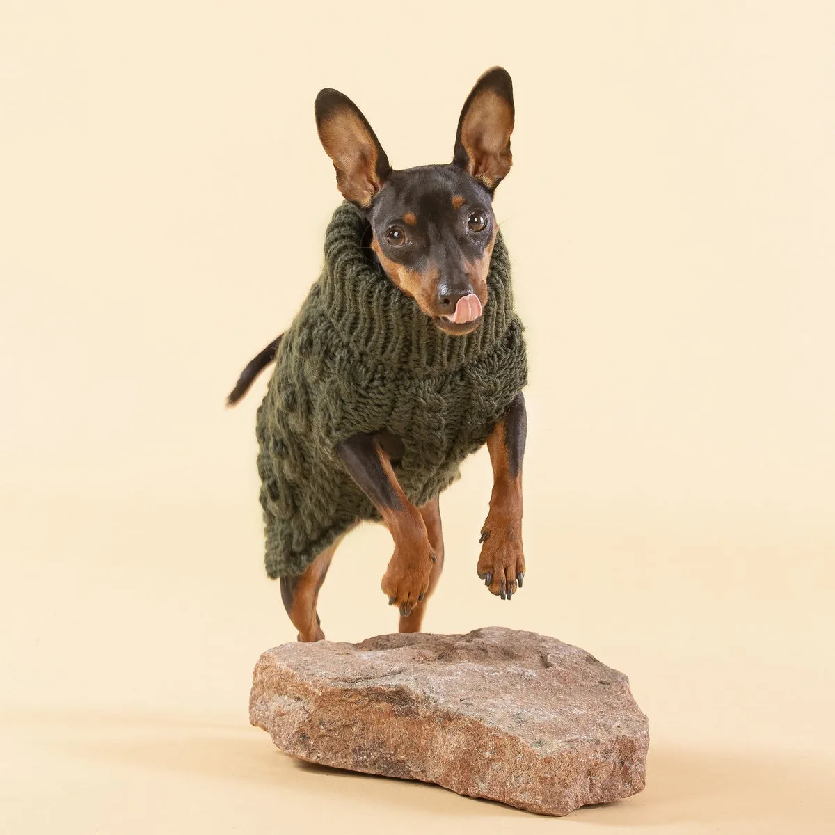 Handmade Knit Green Dog Sweater