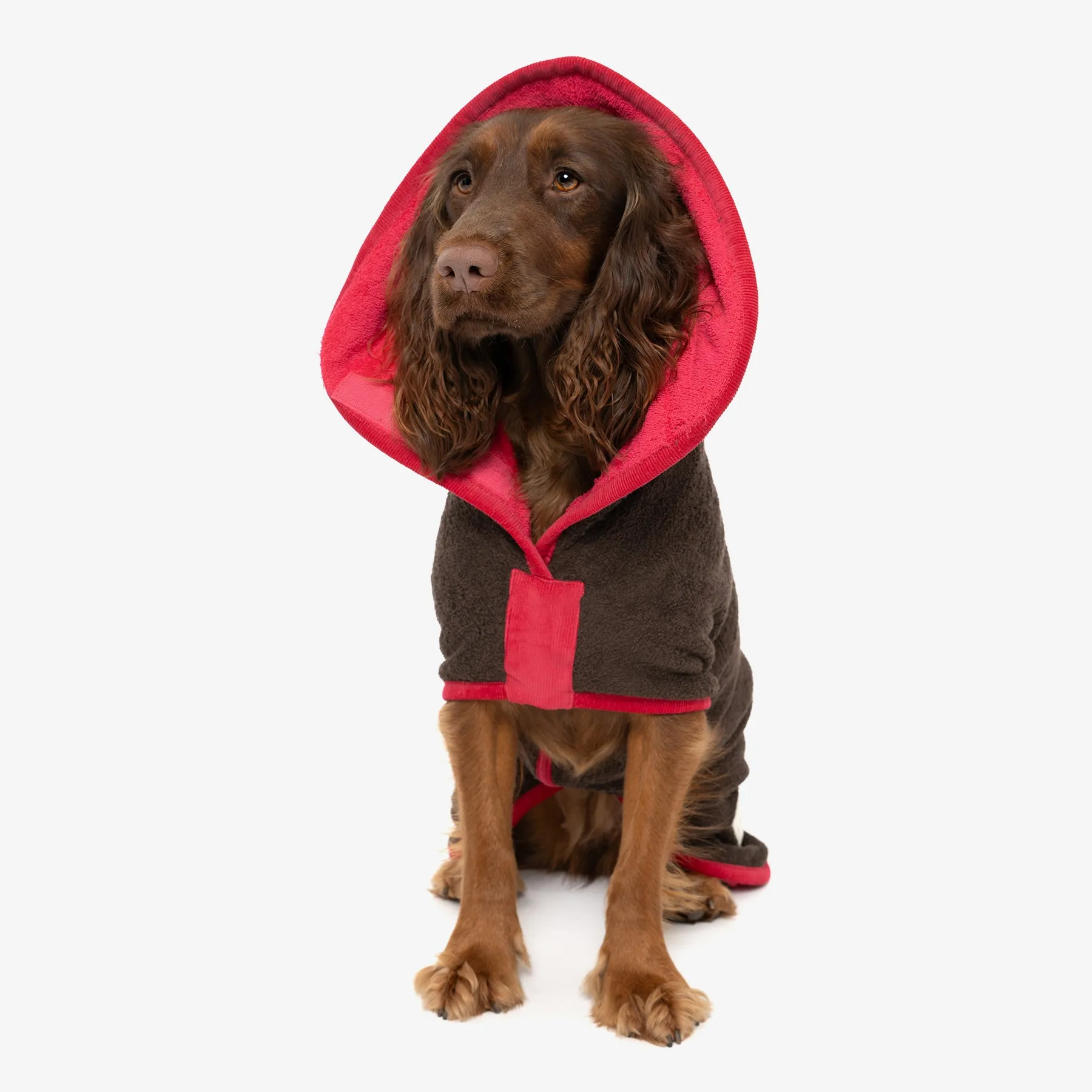 Limited Edition Dog Drying Coat - Dark Chocolate and Raspberry